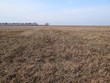 © butus - part of a brown field with dry grass and trees on the horizon with sky