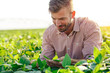 © Zoran Zeremski - Young farmer in filed examining soybean corp.