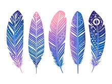 Color Feathers Vector Set. Hand Sketched Tribal Feathers Isolated On White