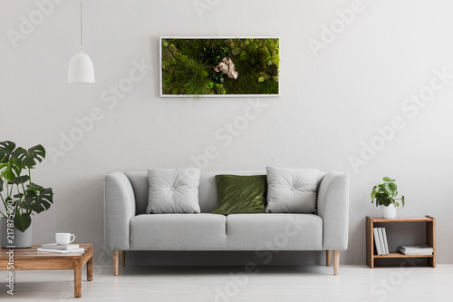 Fotografía Grey sofa with pillow in real photo of bright sitting room interior with books o