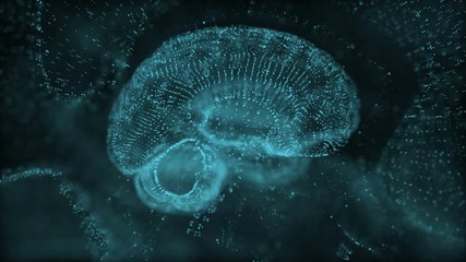 Poster - Human brain being formed by revolving particles. Plexus structure evolving around. Blue abstract futuristic science and technology motion background. 3D rendering. Depth of field settings.Seamless