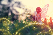 Image Of Magical Little Fairy In The Forest At Sunset.