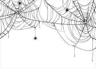 halloween spiderweb vector background with spiders, copy space. cobweb backdrop illustration isolate