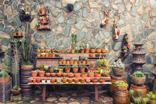 Garden Decor Under Tree