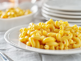 Wall Mural - tasty mac and cheese on plate