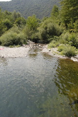 Poster - Rivière dans les Cévennes	