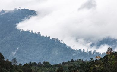 Panorama scene of tropical rainforest coverred by white fog and cloud over slop of hazzy mountain range.