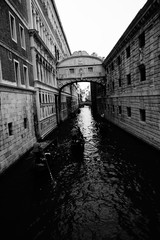 Wall Mural - venecia