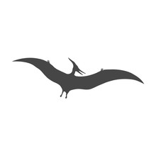 Pterodactyl Icon, Vector Drawing, Pteranodon Bird