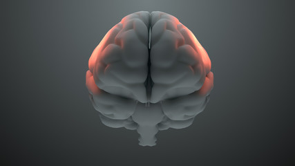 Poster - Medical theme 3d render brain with orange zones that symbolize damage or pain. Headache zone concept. Activation of brain intelligence zone.