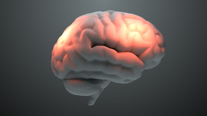 Poster - Medical theme 3d render brain with orange zones that symbolize damage or pain. Headache zone concept. Activation of brain intelligence zone.