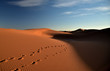 Fußspruen im abendlichen Wüstensand