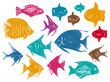 Set of Vector Drawings Different Ocean Fishes