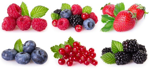 Wall Mural - Collection of berries on white background