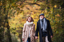Senior Couple Walking In A Forest In An Autumn Nature, Holding Hands.