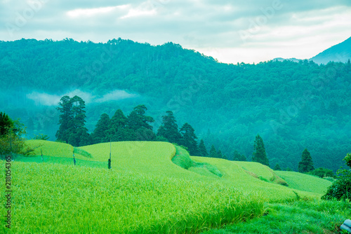 日本棚田百景滋賀 高島市畑 早朝の朝もや Buy This Stock Photo And Explore Similar Images At Adobe Stock Adobe Stock