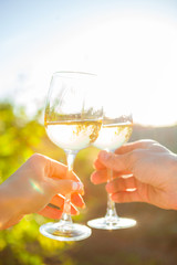 Hands with white wine toasting in garden picnic. Friends Happiness Enjoying Dinning Eating Concept.