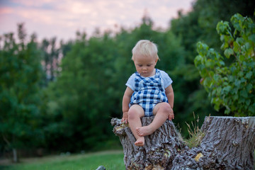 Poster - Adorable toddler, playing with teddy bear in the park