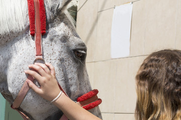 Wall Mural - Friendship , Horse and Woman