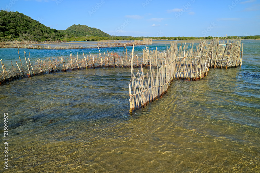 Traditional Tsonga fish trap built in the Kosi Bay estuary, Tongaland, South Africa. - obrazy, fototapety, plakaty 