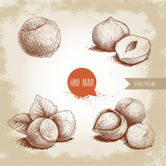 Poster - Hazelnuts set. Whole, peeled, sigles and groupwith leaves. Hand drawn sketch style illustrations collection. Vector drawings idolated on old background.