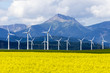 Wind Turbine Renewable Energy