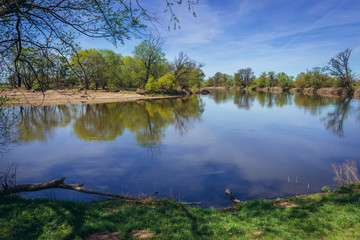 Canvas Print - Devinske Lake - river arm of Morava River in Slovakia