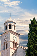 Canvas Print - Ancient Clock Tower by Tree