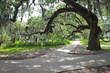 Shady Oak in Park