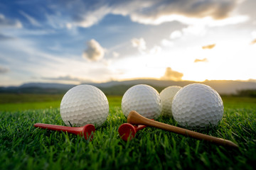 Wall Mural - close up the golf ball and tee pegs on the green background