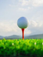 Wall Mural - close up the golf ball on tee pegs ready to play in the nature background