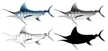 A Set Of Swordfish