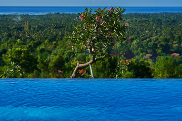 Infinity pool. Luxury relaxing ocean view, deep blue sky, green horizon and a tropical tree. Luxury resort for summertime relax. Edge swimming pool water, enjoying beautiful view. Travel concept.