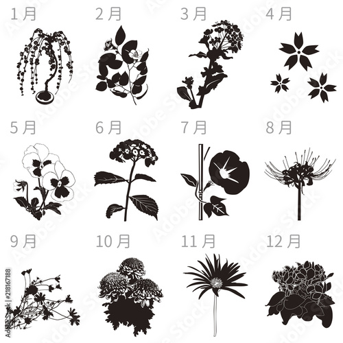 季節の花シルエット Stock Vector Adobe Stock 季節の花シルエット Stock Vector Adobe Stock