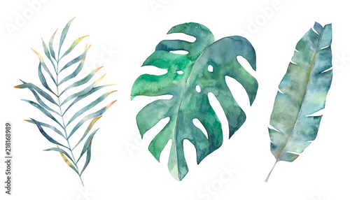 Watercolor tropical leaves set. Hand drawn illustration. Isolated image