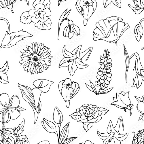 Simple Seamless Vector Pattern With Different Flowers Linear Drawings On A White Background Stock Vector Adobe Stock