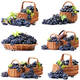 Fototapeta Kuchnia - Excellent grape wine, this year's harvest