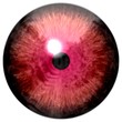 Animal red eyeball, frog eye texture, black round, texture with white background