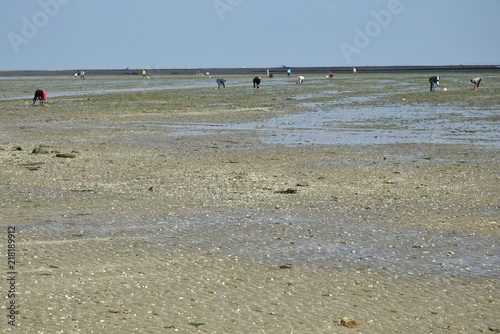 Fotografía Pêcheurs à pied, à marée basse, au passage du Gois à Noirmoutier, Vendée, Pays de la Loire, France