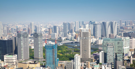 Fototapete - panoramic view to the Tokyo, Japan from air. Cityscape with many modern business buildings