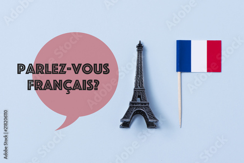 question do you speak French? in French Canvas Print