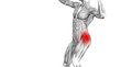 © high_resolution - Conceptual hip human anatomy with red hot spot inflammation articular joint pain for leg health care therapy or sport muscle concepts. 3D illustration man arthritis or bone sore osteoporosis disease