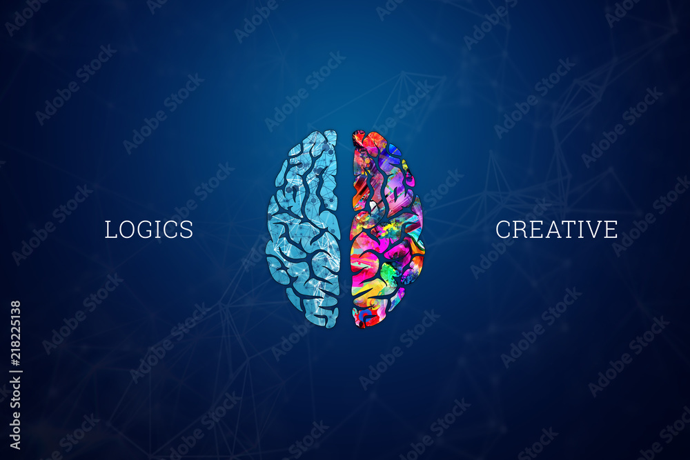 Illustration of a human brain, top view. Different halves of the human brain. The creative half and logical half of the human mind.
