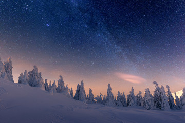 Fantastic winter landscape glowing by star light. Dramatic wintry scene with snowy trees and milky way in night sky. Carpathians, Europe.