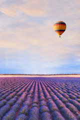 Wall Mural - travel destination, beautiful dream inspirational landscape with hot air balloon flying above lavender fields in Provence, tourism in France