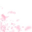 © Begin Again - Sakura petals falling down. Romantic pink flowers corner. Flying petals on white square background.