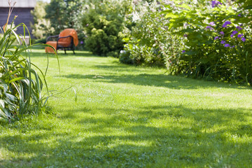 beautiful garden, full of green plants and colorful flowers with an armchair in the background