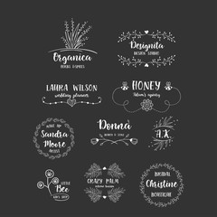 Wall Mural - vector set of handdrawn floral logos. hand drawn spring collection with typographic design elements.