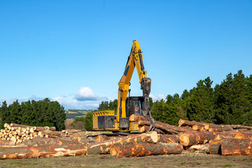 Poster - A swing loader is one of the logging and forestry machines used to stack and load logs at a logging site