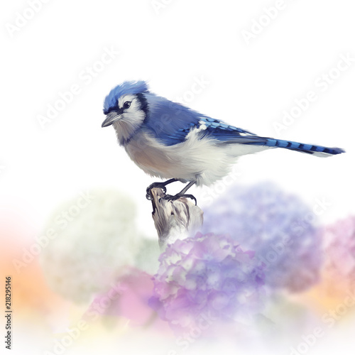 Blue jay in Flower garden,watercolor painting